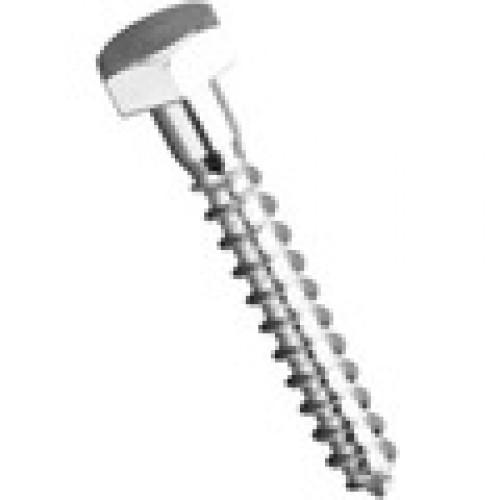 Coachscrews